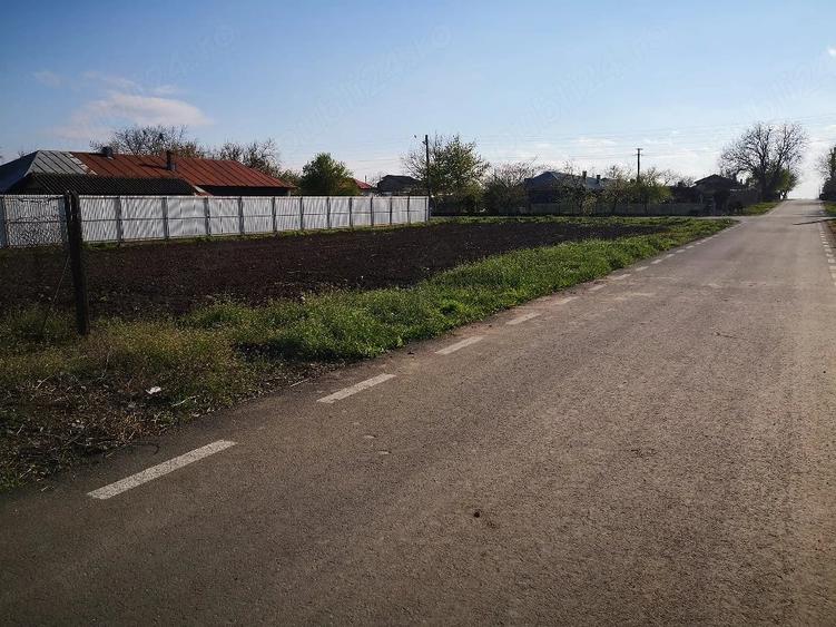 Teren intravilan Casa 809 mp Sat Valea Ro?ie Jud Calara?i la 60 km fata de Bucure?ti - 4