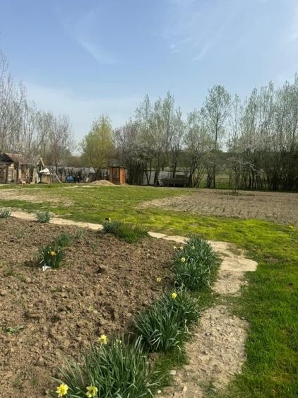 Casă individuală cu 3 camere cu Teren 1700 Mp în Bărcănești