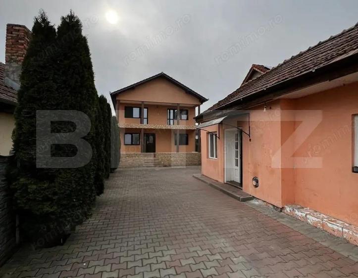 Casă cu Teren 470 Mp în Teiu