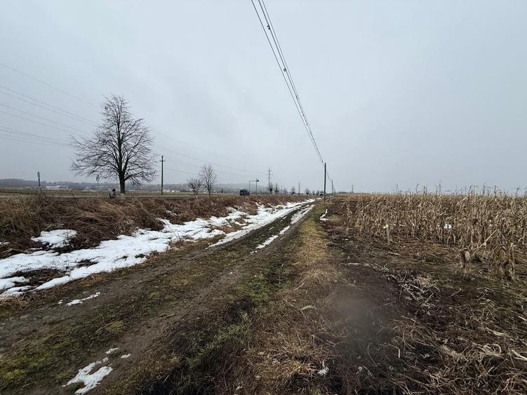 Teren agricol extravilan de 7276 mp, în Gălănești
