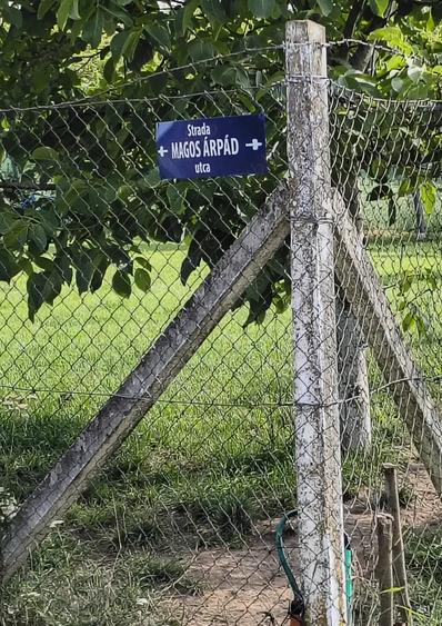 Teren de 6670 mp, în Viile Satu Mare