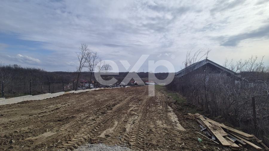 Teren Construcții intravilan de 1500 mp, în Albota