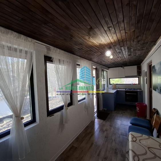 Casa de Vacanta Lepsa - 4