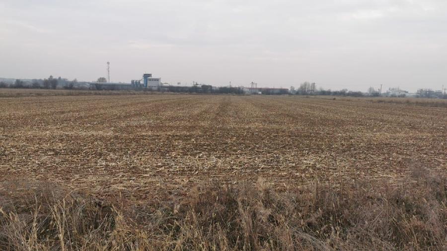 Teren Construcții intravilan de 4550 mp, în Ciolpani
