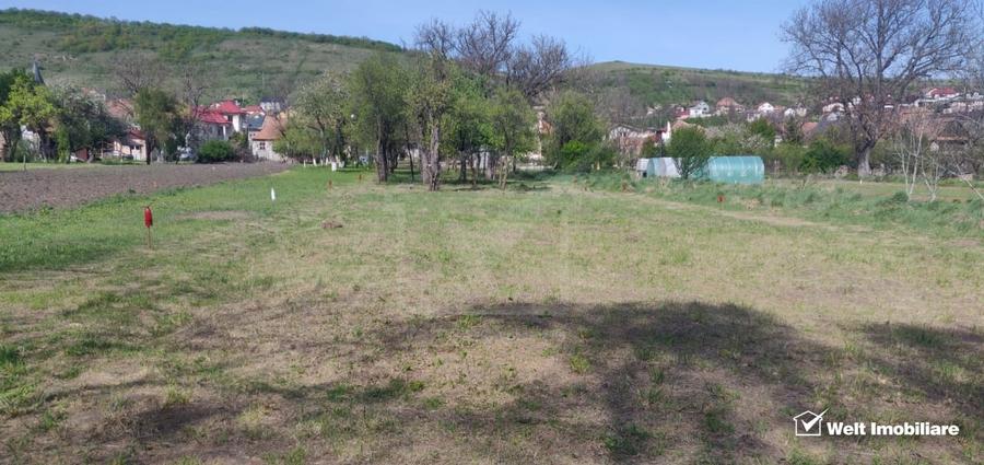 Teren Construcții intravilan de 2034 mp, în Baciu