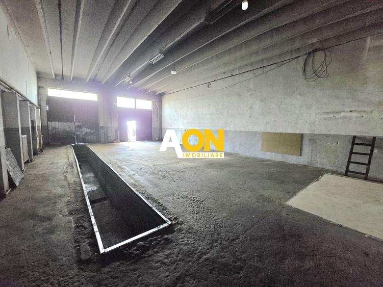 Spațiu industrial, de 170 mp, în Ampoi 3