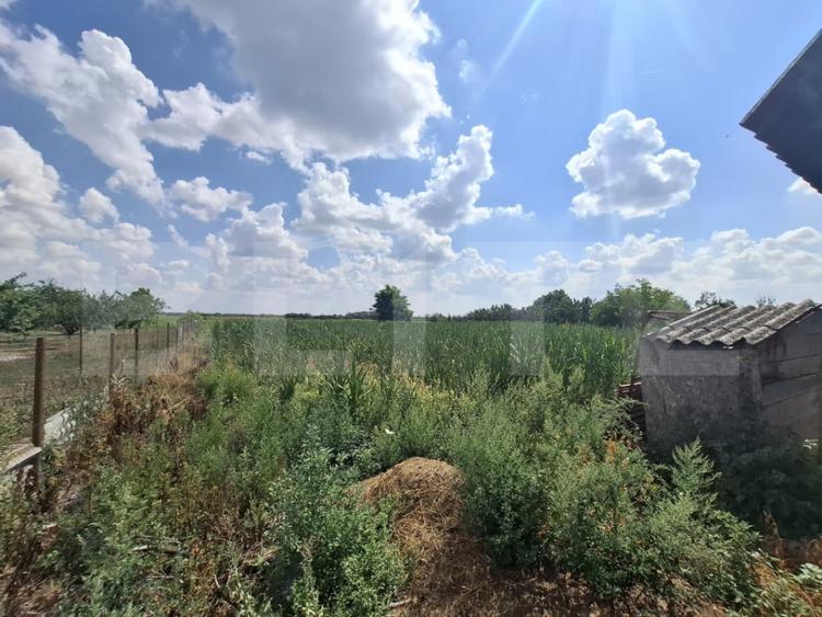 Casă cu 2 camere cu Teren 2880 Mp în Gelu