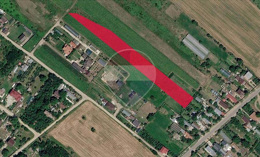 Teren Construcții intravilan de 6500 mp, în Tărtășești