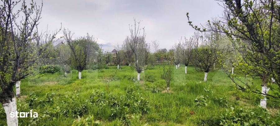 Casa Gaesti Aproape de Centru, 1600 mp Teren Generos - Livada Gra - 13