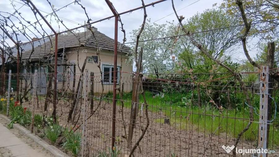 Casă cu 5 camere cu Teren 8481 Mp în Soreni