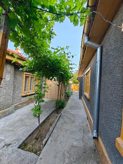 Casa solidă și teren în Zona Islaz pe Strada Mărului - 6