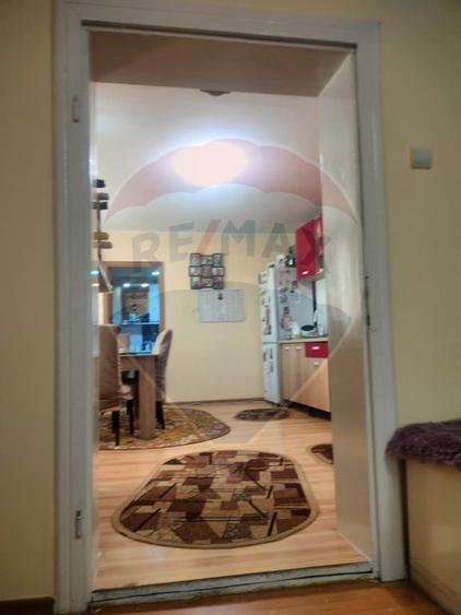 Casa la tara in satul Retis, comuna Bradeni, aproape de ... - 13