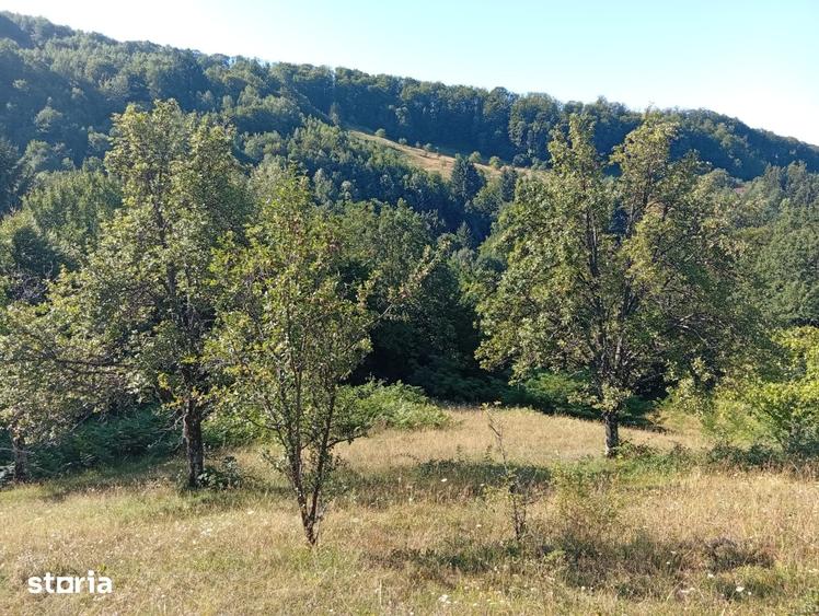 Casă cu 2 camere cu Teren 28000 Mp în Hălmagiu