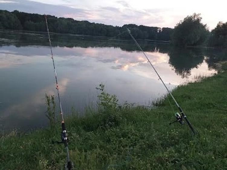Teren de 1837 mp, în Peceneaga
