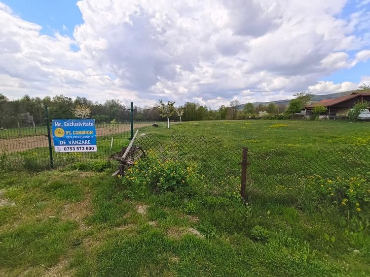 Teren Construcții intravilan de 19209 mp, în Crasna