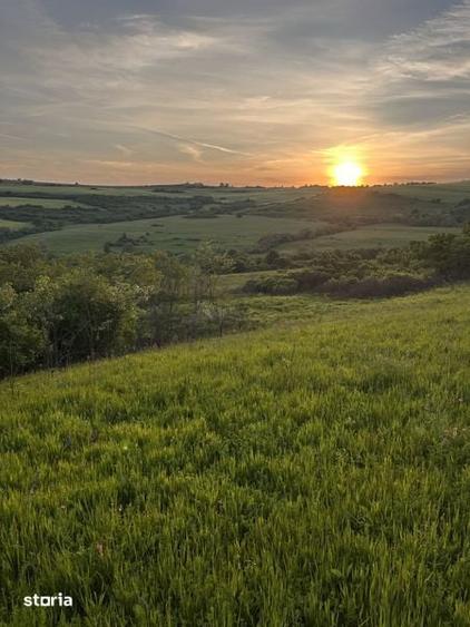 Teren de 11000 mp, în Brădeni