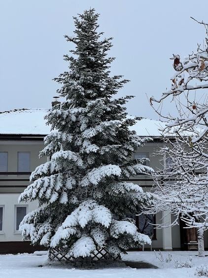 Casă individuală cu 6 camere cu Garaj în Snagov