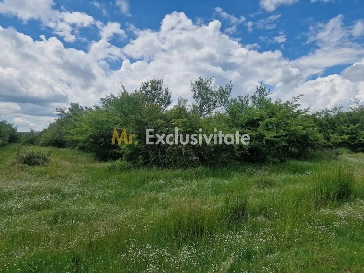 Teren Construcții intravilan de 3006 mp, în Smeura