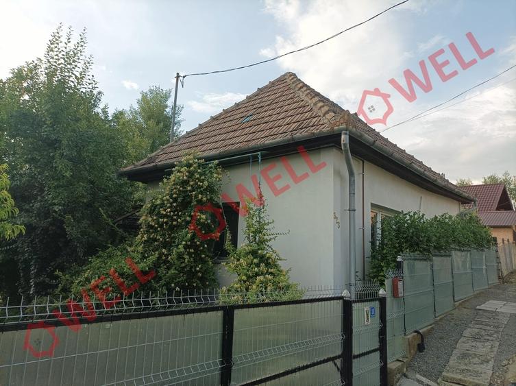 Casă individuală cu 3 camere cu Teren 1023 Mp în Delenii