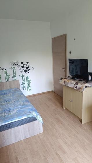 Apartament cu 3 camere decomandat în Tei