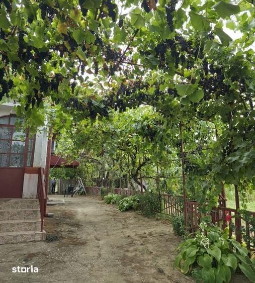 Vand casa in comuna Scaiesti ,Dolj - 5
