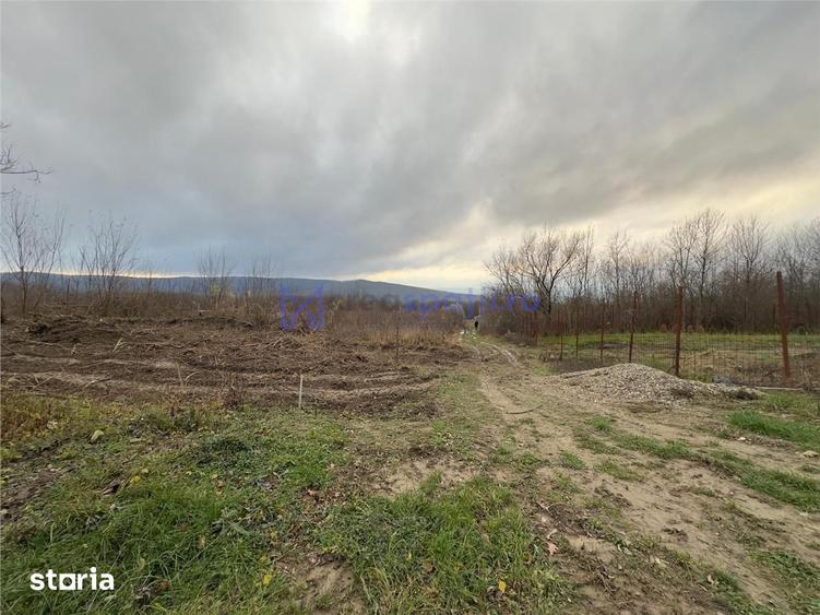 Teren de 748 mp, în Bârnova