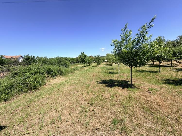 Casă individuală cu 6 camere cu Teren 3000 Mp în Exterior Nord