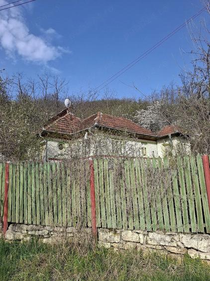 Teren de 4000 mp, în Grabicina de Jos