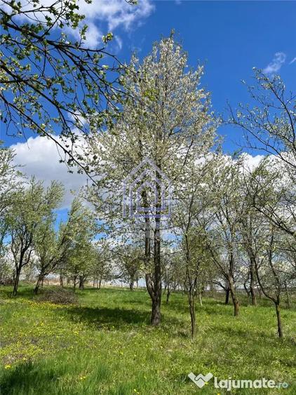 Teren de 4872 mp, în Antoceni
