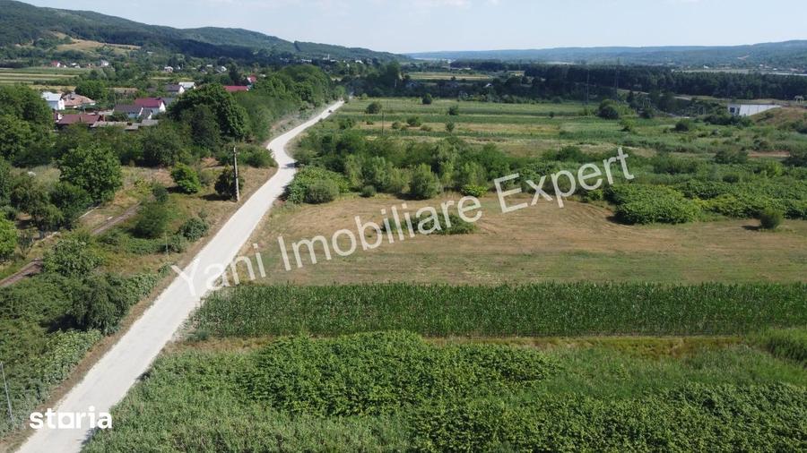 Teren de 8229 mp, în Băiculești