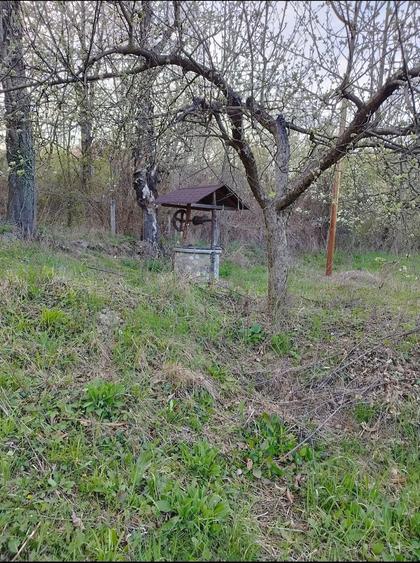 Casă cu 3 camere cu Teren 5200 Mp în Schela