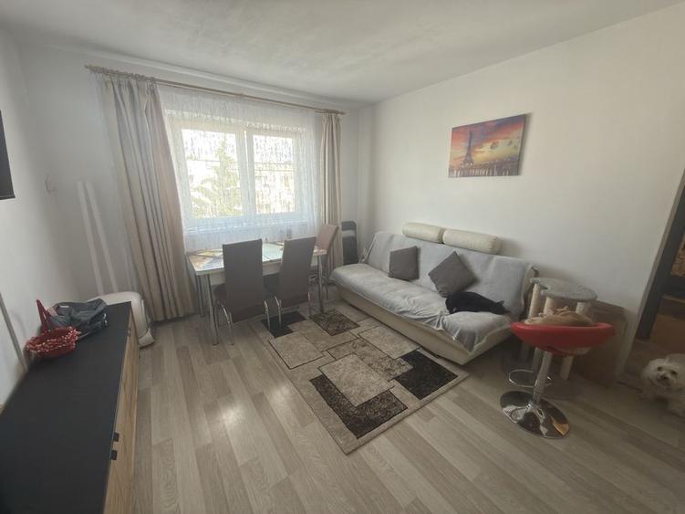 Apartament cu 2 camere semidecomandat în Drumul Carului