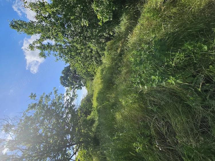 Casă cu 3 camere cu Teren 10000 Mp în Castranova