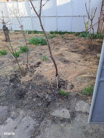 Casă cu 2 camere cu Teren 415 Mp în Oncea