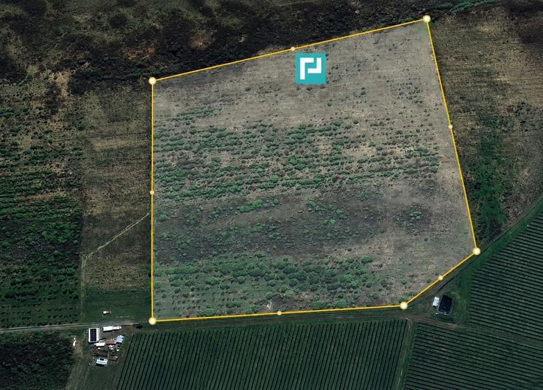 Teren agricol extravilan de 43400 mp, în Nord-Vest