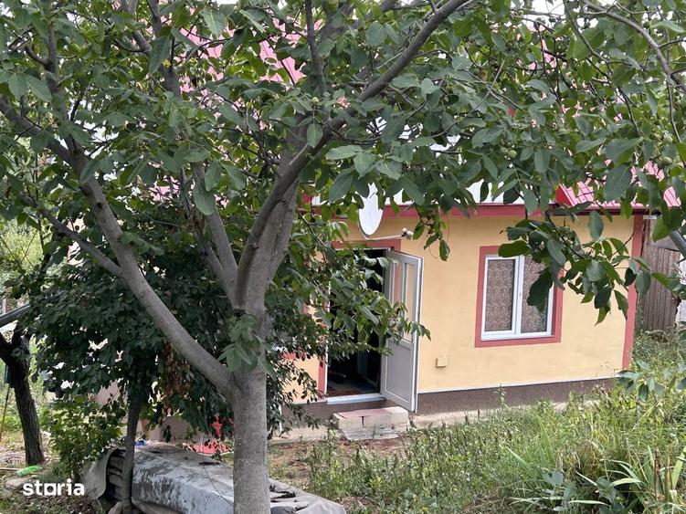 Casă cu 2 camere în Central