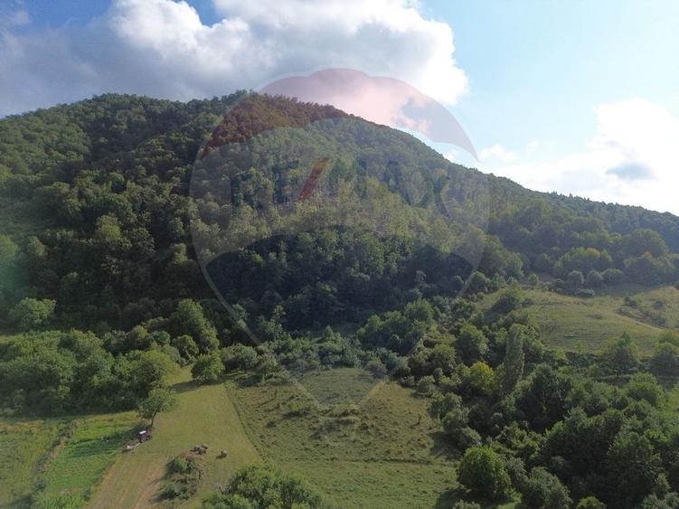Teren Construcții de 16500 mp, în Măgureni