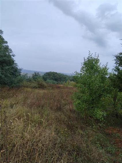 Teren Construcții intravilan de 6075 mp, în Lăzăreni