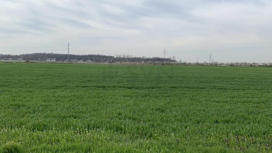 Teren Construcții intravilan de 24581 mp, în Nord