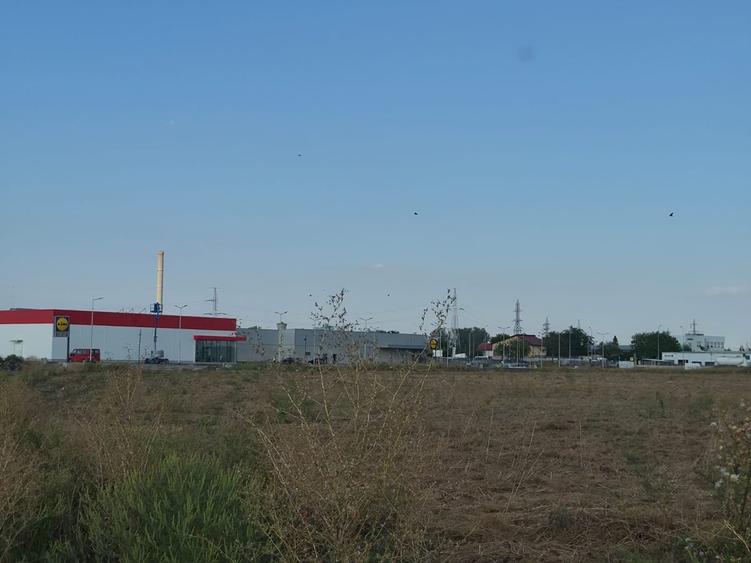 Teren în Berceni