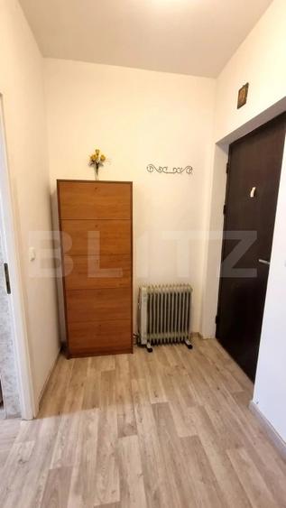 Apartament cu 2 camere semidecomandat, mobilat în Lunca Cetățuii