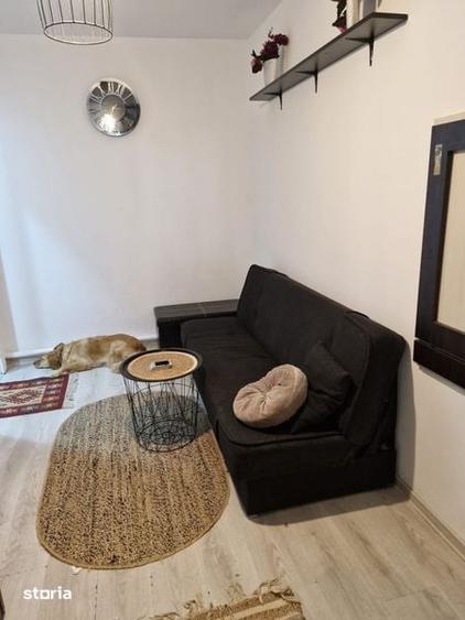 Apartament de inchiriat- nedecomandat- pet friendly - 5