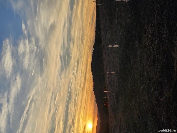 Teren de 5400 mp, în Șpring