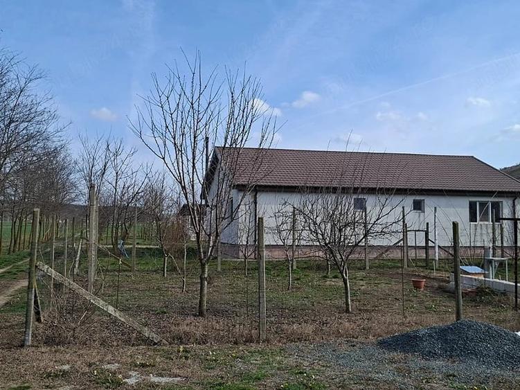 Teren de 90000 mp, în Central