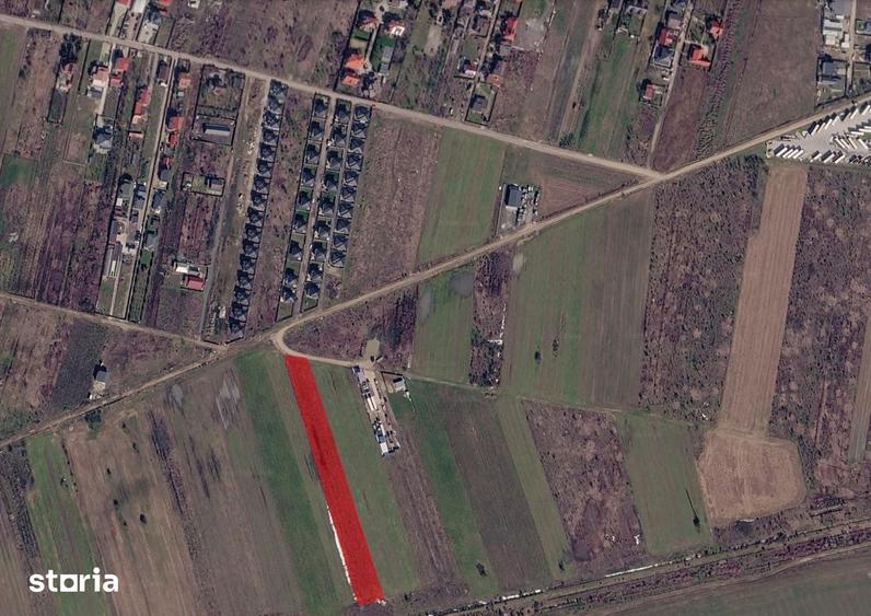 Teren de 5000 mp, în Ciorogârla