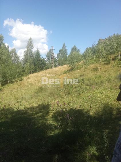 Teren Construcții extravilan de 3200 mp, în Moisei
