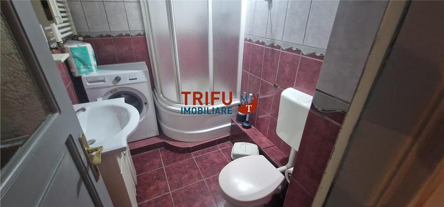 Apartament 2 camere de inchiriat zona  Mercur - 9