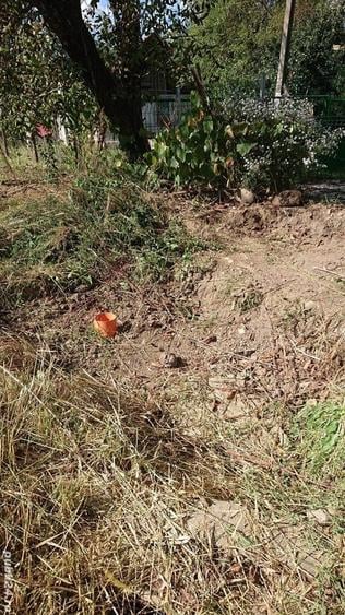 Casă cu 2 camere cu Teren 934 Mp în Tisa