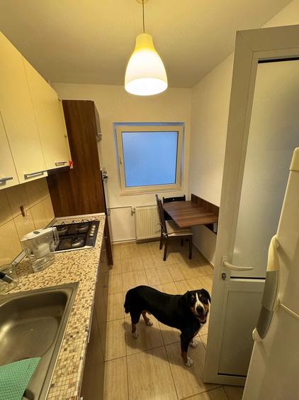 Apartament cu 2 camere decomandat în Tineretului