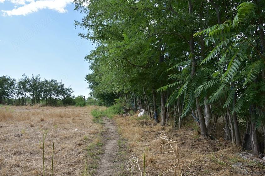Casă cu Teren 1750 Mp în Costache Negri